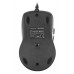 Мышь A4Tech V-Track Padless N-70FX черный оптическая (1600dpi) USB (7but)