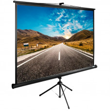 Экран Cactus 160x160см TriExpert CS-PSTE-160x160-BK 1:1 напольный рулонный черный