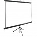Экран Cactus 200x200см TriExpert CS-PSTE-200x200-BK 1:1 напольный рулонный черный