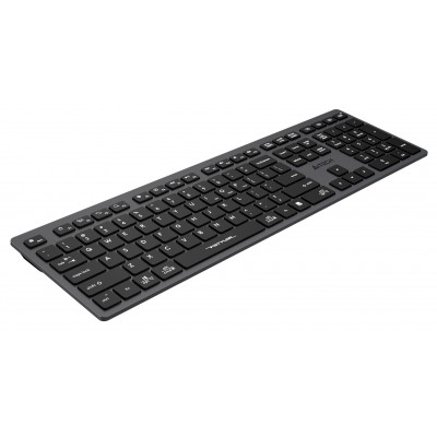 Клавиатура A4Tech Fstyler FBX50C черный USB беспроводная BT/Radio slim Multimedia (FBX50C GREY)