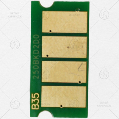 Чип Ricoh SP C250/C260/C261 (C250/407729) Black (2K)