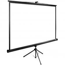 Экран Cactus 160x160см TriExpert CS-PSTE-160x160-BK 1:1 напольный рулонный черный