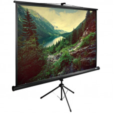 Экран Cactus 220x220см TriExpert CS-PSTE-220x220-BK 1:1 напольный рулонный черный