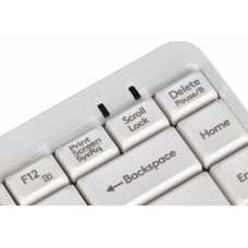 Клавиатура A4Tech Fstyler FK11 белый USB slim