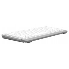 Клавиатура A4Tech Fstyler FKS11 белый/серый USB (FKS11 WHITE)