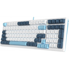 Клавиатура A4Tech Fstyler FS300 механическая белый/синий USB for gamer LED (FS300 PANDA SNOWBOARDING)