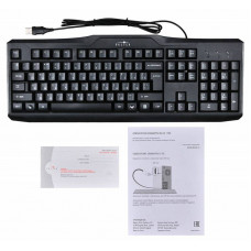 Клавиатура Оклик 170M черный USB (855272)