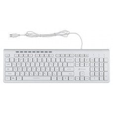 Клавиатура Оклик 490ML белый USB slim Multimedia LED