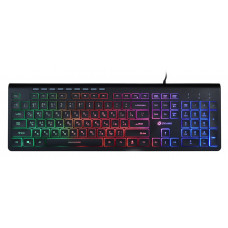 Клавиатура Оклик 490ML черный USB slim Multimedia LED