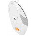 Мышь A4Tech Fstyler FB10C белый/серый оптическая 2000dpi беспров. BT/Radio USB 4but (FB10C GRAYISH WHITE)
