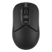 Мышь A4Tech Fstyler FG12S черный оптическая 1200dpi silent беспров. USB 3but (FG12S BLACK)