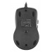 Мышь A4Tech V-Track Padless N-70FX черный оптическая 1600dpi USB для ноутбука 7but