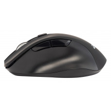 Мышь Acer OMR140 черный оптическая 1600dpi беспров. USB 6but (ZL.MCEEE.00G)