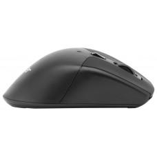 Мышь Acer OMR170 черный оптическая 1600dpi беспров. BT/Radio USB 6but (ZL.MCEEE.00N)