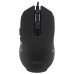 Мышь Acer OMW160 черный оптическая 6400dpi USB 8but (ZL.MCEEE.00Q) Мышь Acer OMW160 черный оптическая 6400dpi USB 8but (ZL.MCEEE.00Q)
