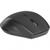 Мышь Defender Accura MM-365 черный оптическая 1600dpi беспров. USB 5but (52365)