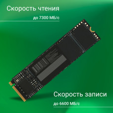 Накопитель SSD Digma PCI-E 4.0 x4 2Tb DGSM4002TM63T Meta M6 M.2 2280