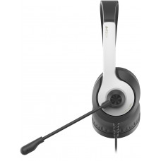 Наушники с микрофоном A4Tech Fstyler FH100U белый/черный 2м накладные USB оголовье (FH100U (PANDA))