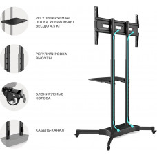 Подставка для телевизора Onkron TS1351 черный 32"-65" макс.50кг напольный мобильный