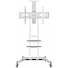 Подставка для телевизора Onkron TS1881 белый 50"-86" макс.90.9кг напольный мобильный