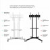 Стойка для телевизора Onkron TS1351 белый 32"-65" макс.50кг напольный мобильный