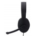 Наушники с микрофоном Hama HS-USB300 черный 2м мониторные оголовье (00139924)