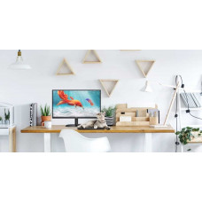 Монитор AOC 21.5" Value Line 22B2H(00/01) черный VA LED 16:9 HDMI матовая 200cd 178гр/178гр 1920x1080 D-Sub FHD 2.1кг