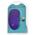 Мышь Оклик 515MW черный/пурпурный оптическая (1000dpi) беспроводная USB для ноутбука (3but)