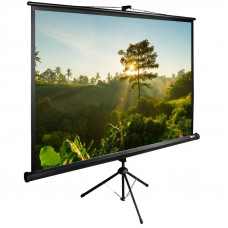 Экран Cactus 200x200см TriExpert CS-PSTE-200x200-BK 1:1 напольный рулонный черный