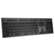 Клавиатура A4Tech Fstyler FBX50C серый USB беспроводная BT/Radio slim Multimedia