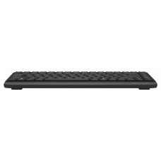 Клавиатура A4Tech Fstyler FKS11 черный/серый USB