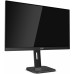 Монитор AOC 24" Professional X24P1(00/01) черный IPS LED 16:10 DVI HDMI M/M матовая HAS Pivot 1000:1 300cd 178гр/178гр 1920x1200 D-Sub DisplayPort FHD USB 5.5кг