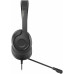 Наушники с микрофоном A4Tech Fstyler FH100U черный 2м накладные USB оголовье (FH100U)