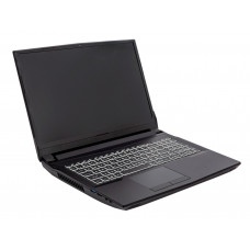 Ноутбук Hiper G16 Core i7 11700 32Gb SSD2Tb NVIDIA GeForce RTX 3070 8Gb 16.1" IPS FHD (1920x1080) Linux black WiFi BT Cam 5040mAh (G16RTX3070D11700LX)