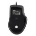 Мышь Acer OMW130 черный оптическая (3600dpi) USB (6but)
