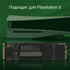 Накопитель SSD Digma PCI-E 4.0 x4 1Tb DGSM4001TM63T Meta M6 M.2 2280