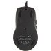 Мышь A4Tech V-Track F5 черный/рисунок оптическая 3000dpi USB 6but