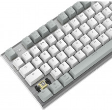 Клавиатура A4Tech Fstyler FS100 Neon механическая серый/белый USB for gamer LED (FS100)