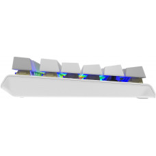 Клавиатура A4Tech Fstyler FS100 Neon механическая серый/белый USB for gamer LED (FS100)