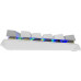 Клавиатура A4Tech Fstyler FS100 Neon механическая серый/белый USB for gamer LED (FS100)