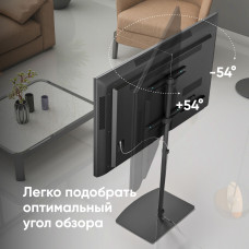 Стойка для телевизора Onkron TS5065 черный 30"-60" макс.41кг напольный