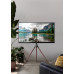Подставка для телевизора Cactus CS-ST1246BKWN черный/орех 45"-65" макс.32кг напольный